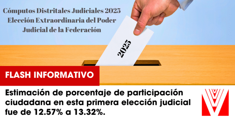 eleccionjudicial